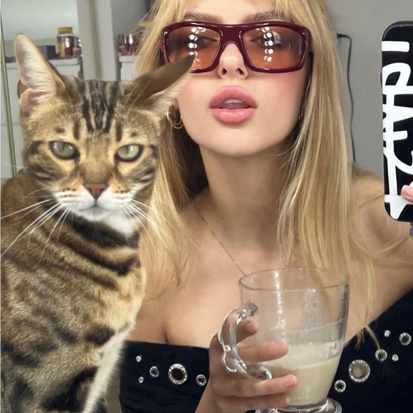 Lexxola neo sunglasses, gently used.